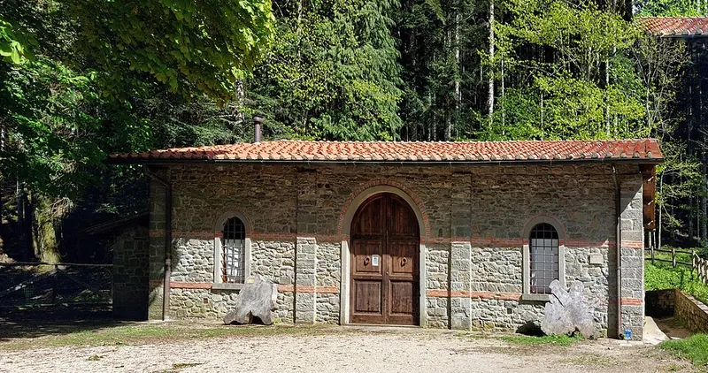 Arboreti sperimentali di Vallombrosa