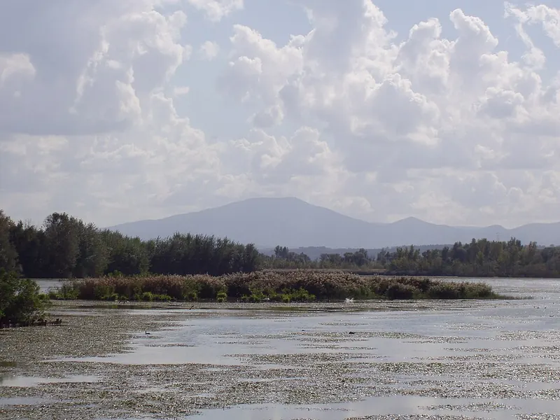 Oasi di Alviano, Alviano