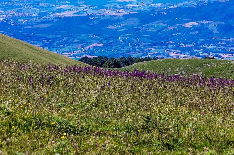 Parco del Monte Subasio, Assisi