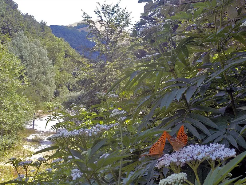 Parco del Monte Cucco, Costacciaro