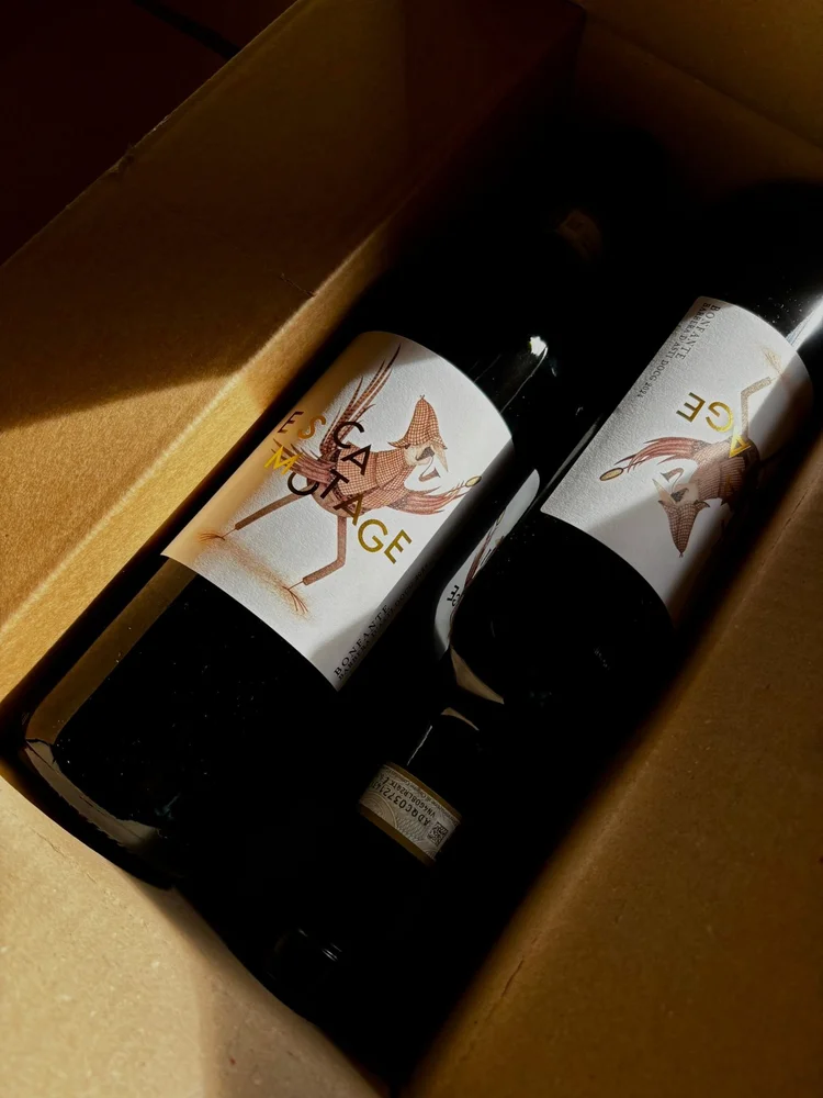 Bonfante Vini - Vetrina Partner Piemonte