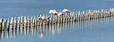 Parco naturale di Molentargius-Saline
