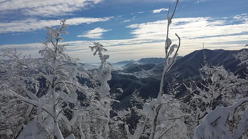 Monte Fumaiolo con la neve