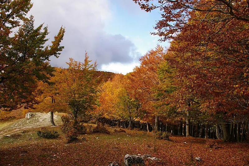 Monte Autore, Subiaco