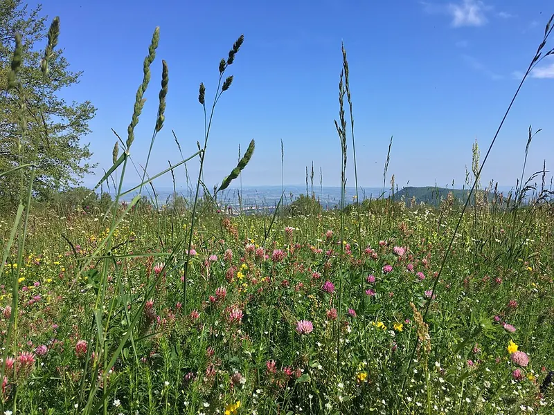Poggio Nibbio, Caprarola