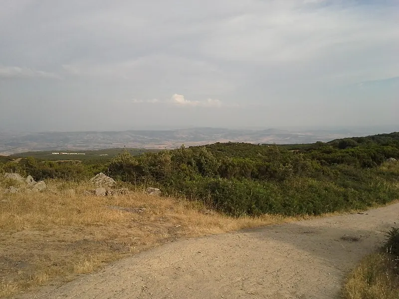 Monte Arci, Morgongiori