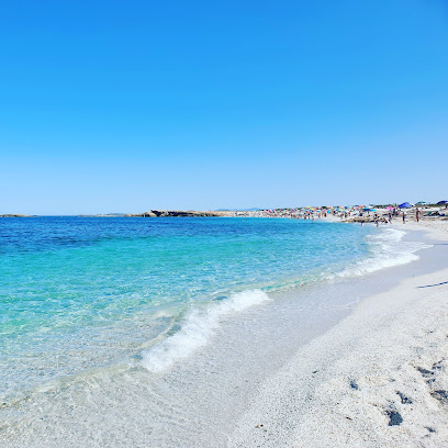 I caratteristici granelli di quarzo simili a chicchi di riso della spiaggia di Is Arutas