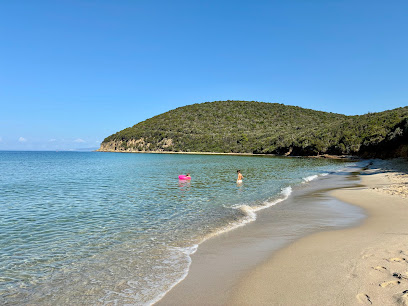 La riserva naturale e la spiaggia sabbiosa di Cala Violina in Toscana