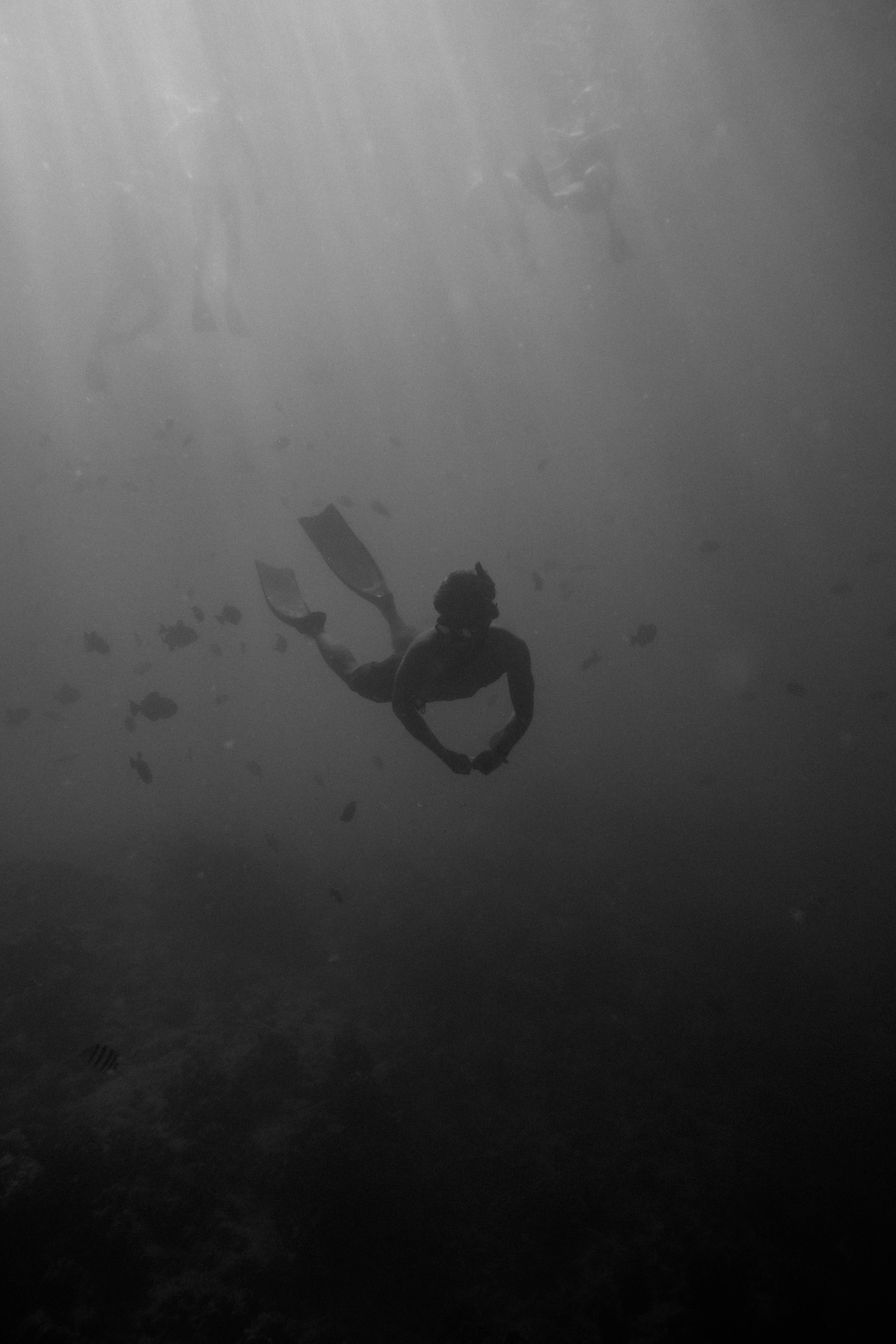 Attrezzatura da snorkeling e subacquea nei fondali marini