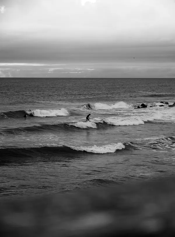 Surf