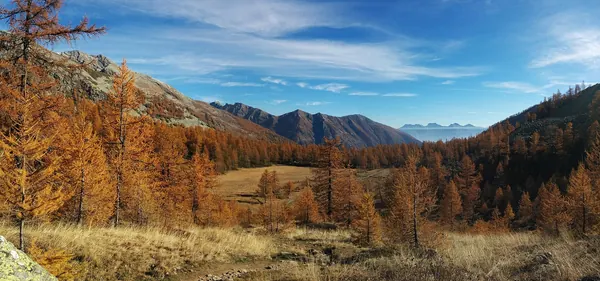 L'Alpe Monscera in alta Val Bognanco