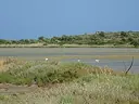 Riserva naturale di Vendicari