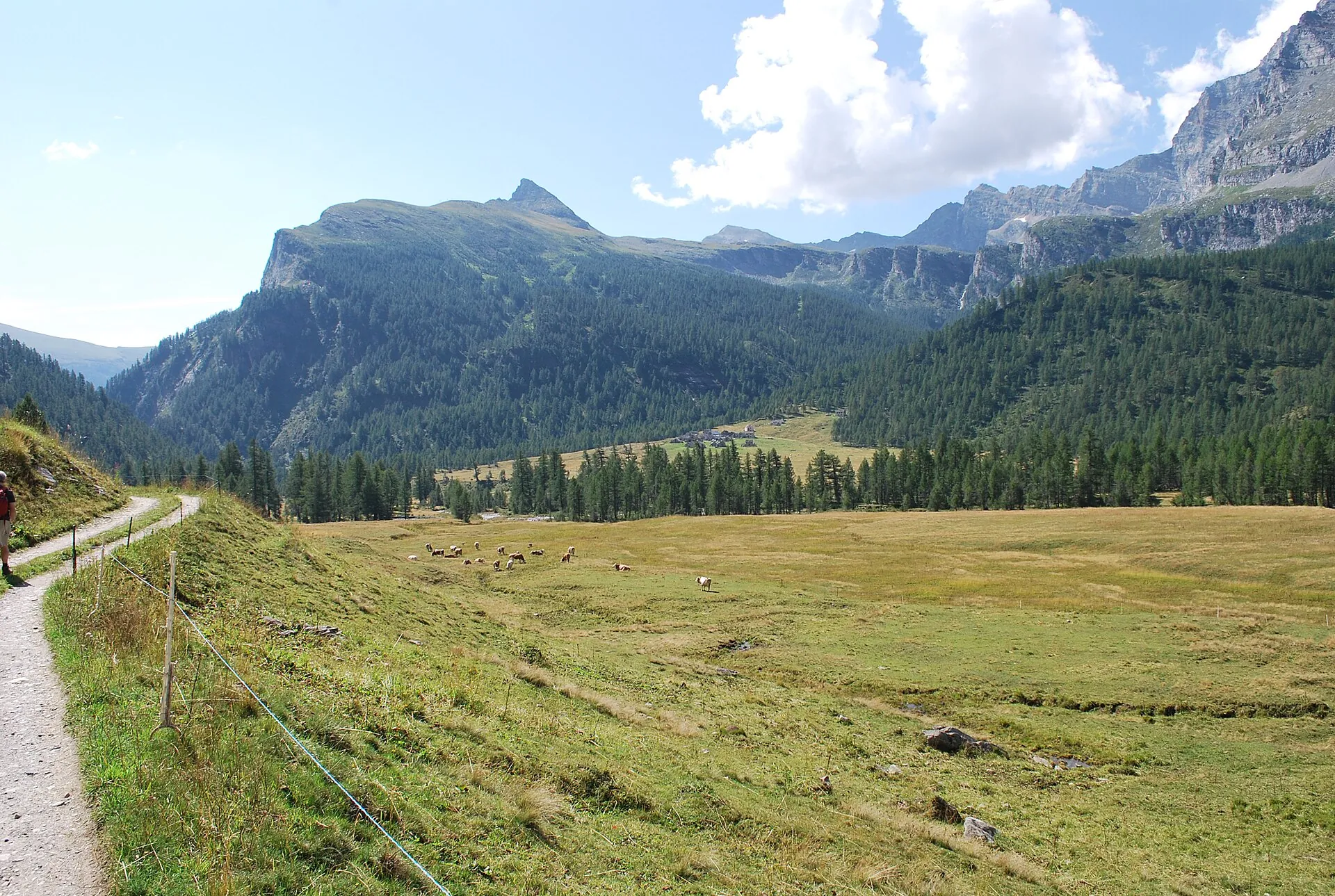 Panorama dell'Alpe Veglia in Val Divedro