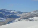 Vigneti dei Colli Piacentini