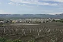 Gibellina Nuova