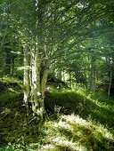 Sentiero di montagna ben segnalato