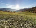 Sentiero tra le colline romagnole della Valle del Savio