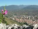 Parco regionale dell'olivo di Venafro