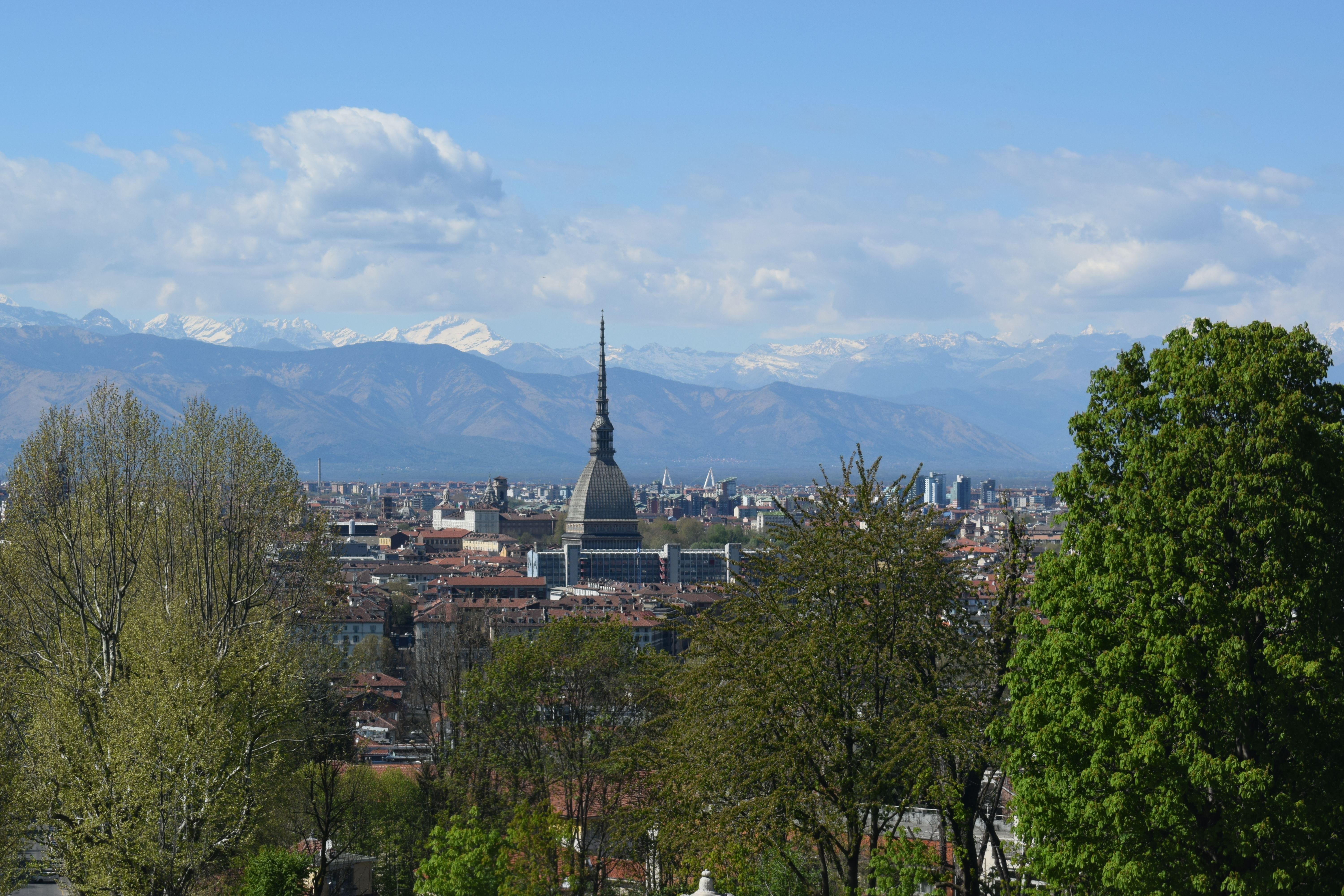 Mole Antonelliana in lontananza